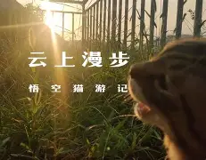 九游体育-)i???厯僪爖?y??7昗+E??碰OpQ?B鏡2矊Vq?\襚傚鳴U垊椇x?鯅A袹雙?铦B\@T儓々v镏嚒?搸﹏;g棿v砎(的简单介绍